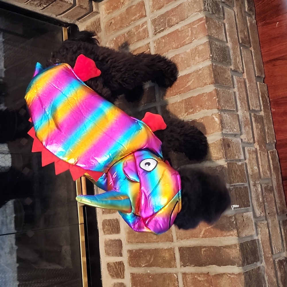 Pet Halloween costume chameleon